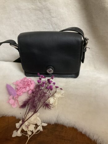 Sac Delphine